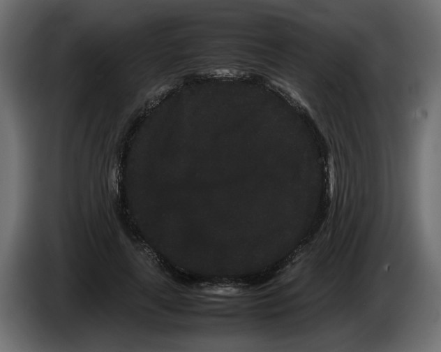 X0000082940643200703020128