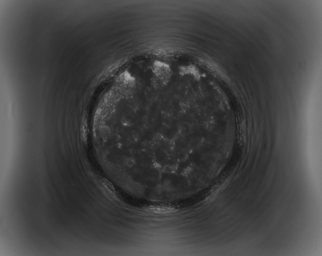 X0000082940644200703020128