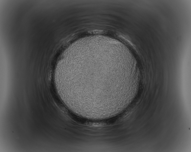 X0000082940645200703020128