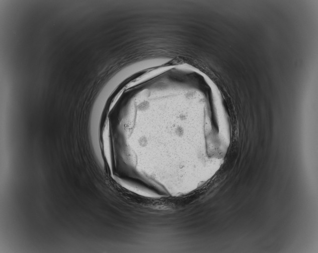 X0000082940646200703020128