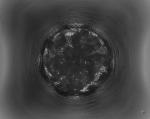 X0000082940647200703020128