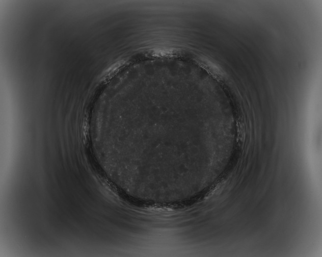 X0000082940648200703020128