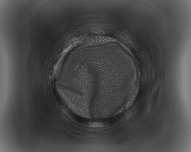 X0000082940649200703020128