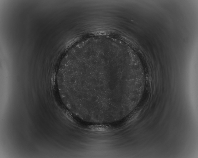 X0000082940652200703020128