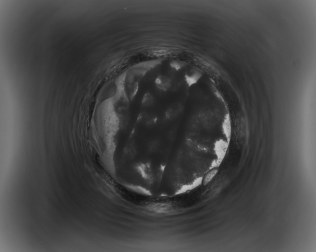 X0000082940653200703020128