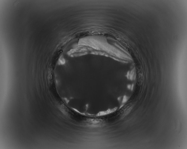 X0000082940654200703020128