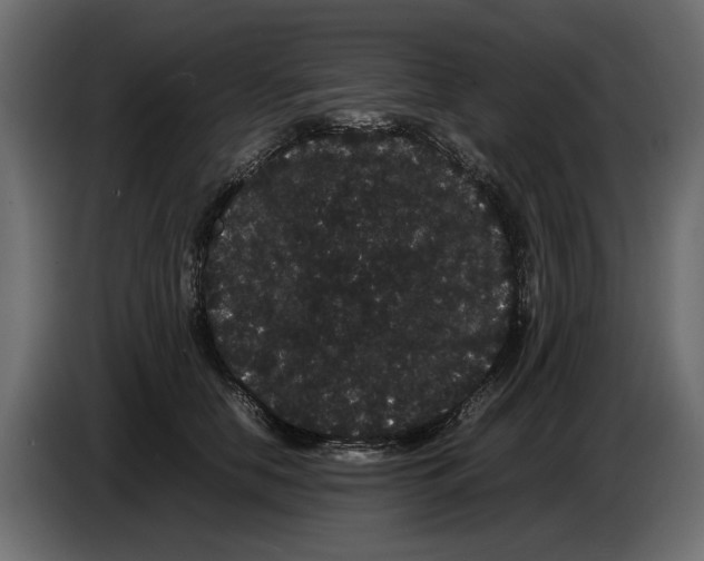 X0000082940658200703020128