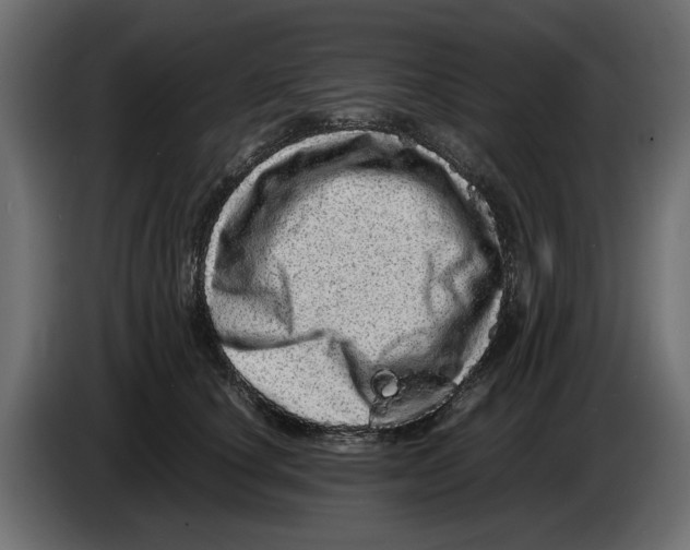 X0000082940660200703020128