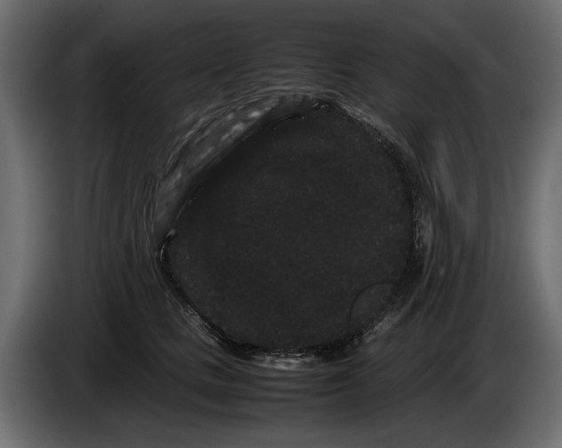 X0000082940661200703020128