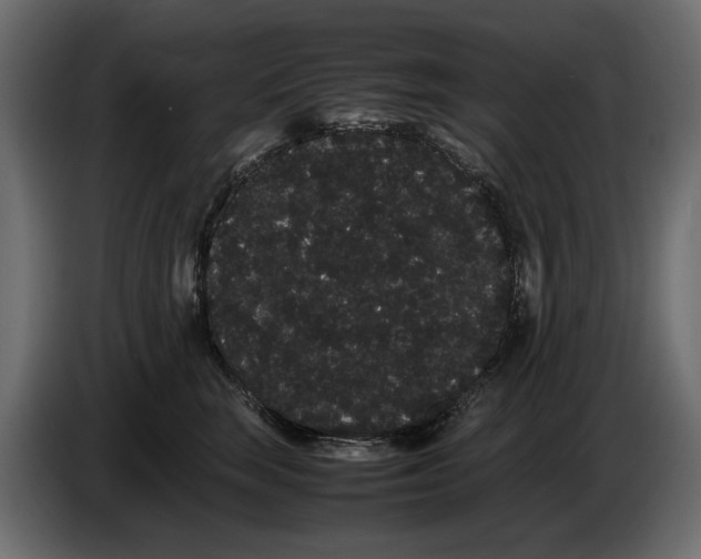 X0000082940663200703020128