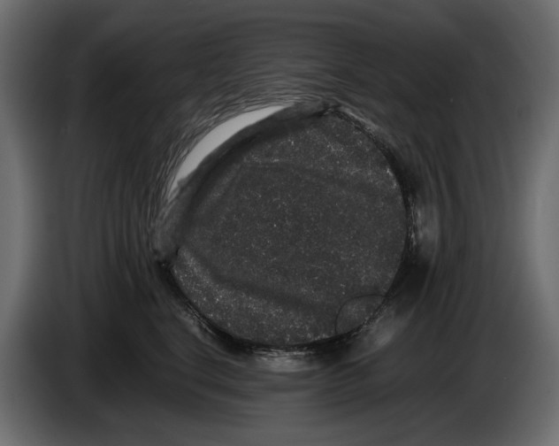 X0000082940664200703020128