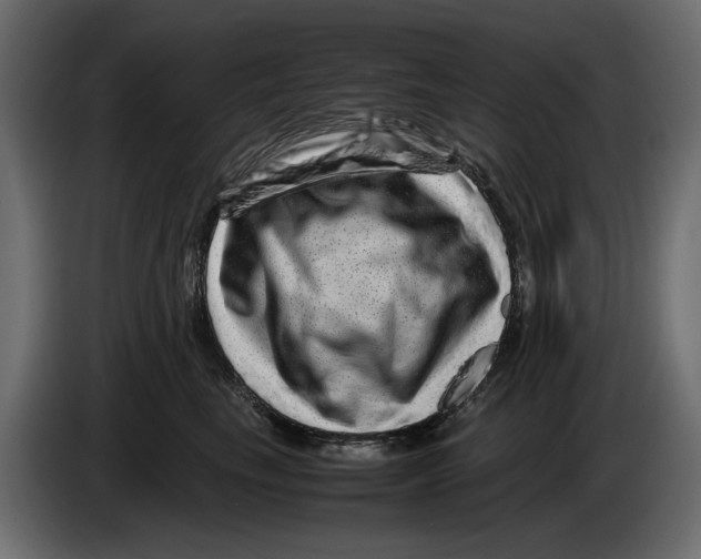 X0000082940665200703020128