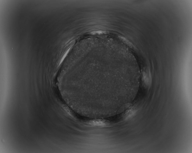 X0000082940668200703020128