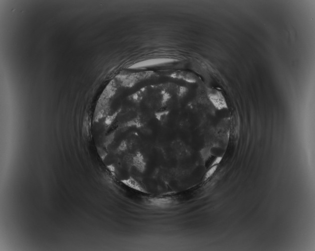 X0000082940669200703020128