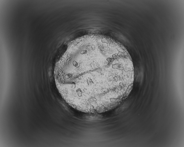 X0000082940670200703020128