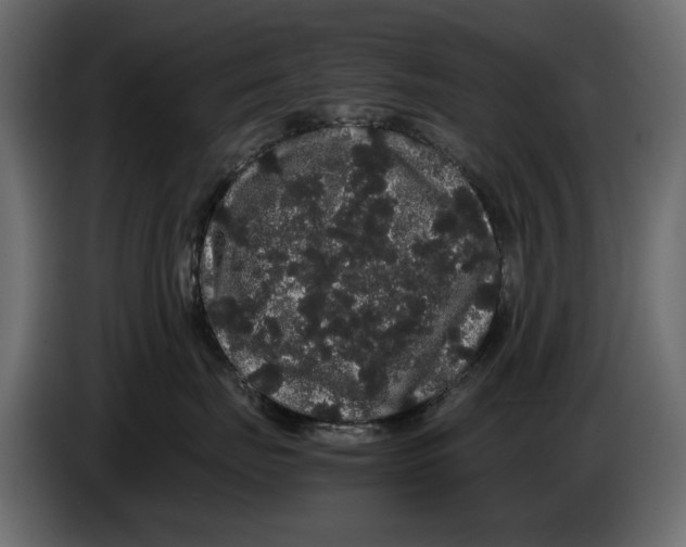 X0000082940671200703020128