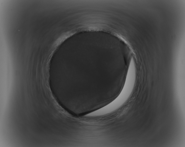 X0000082940673200703020128