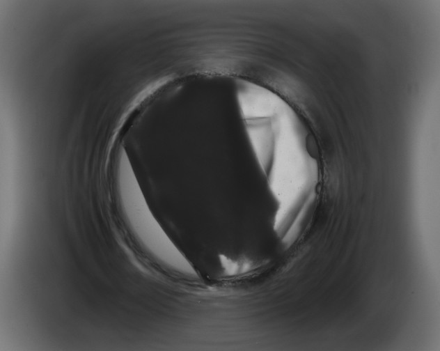 X0000082940674200703020128