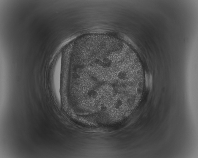 X0000082940675200703020128