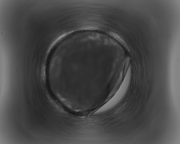 X0000082940676200703020128