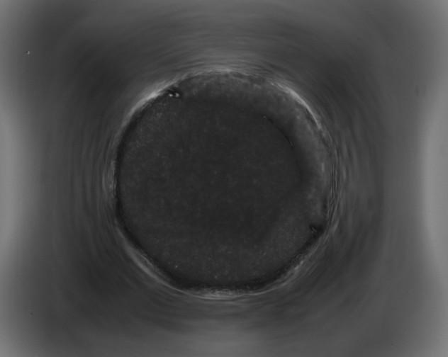 X0000082940677200703020128