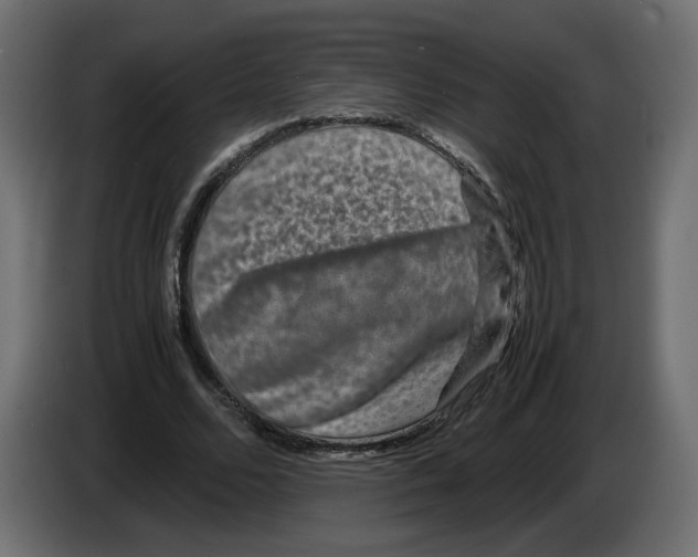 X0000082940680200703020128