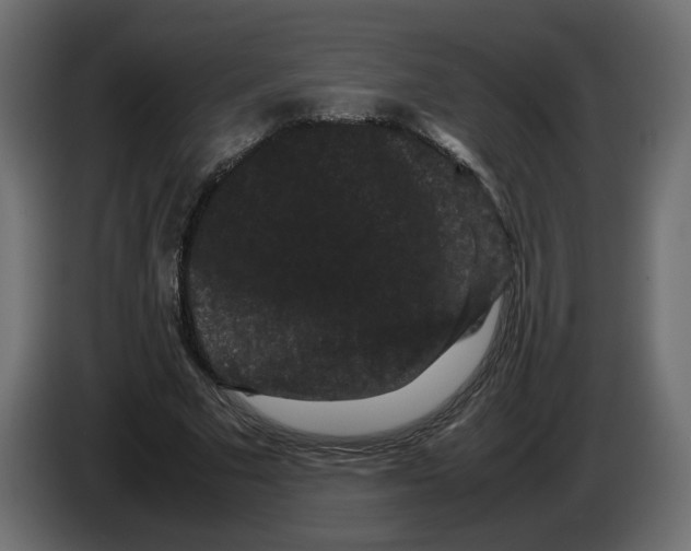 X0000082940681200703020128