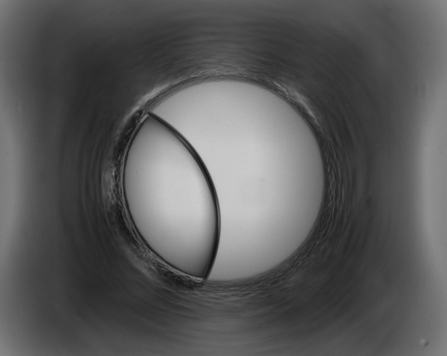 X0000082940684200703020128