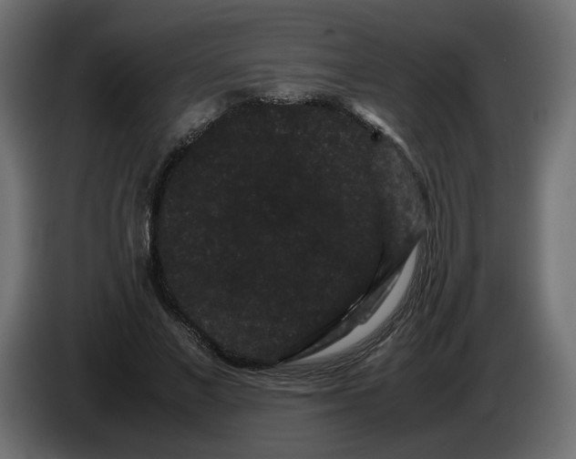 X0000082940685200703020128