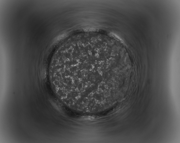 X0000082940687200703020128