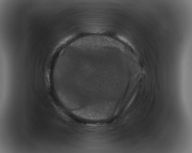 X0000082940688200703020128