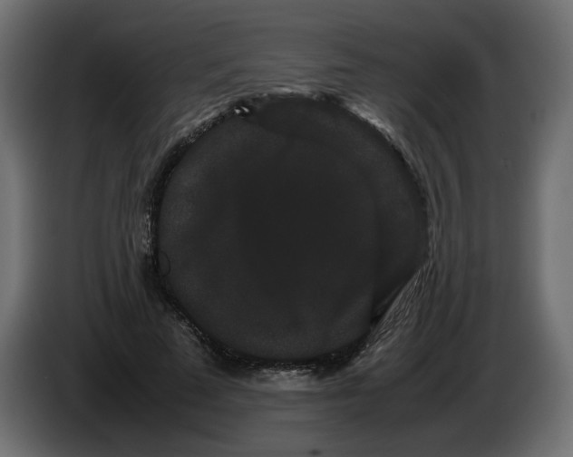 X0000082940689200703020128