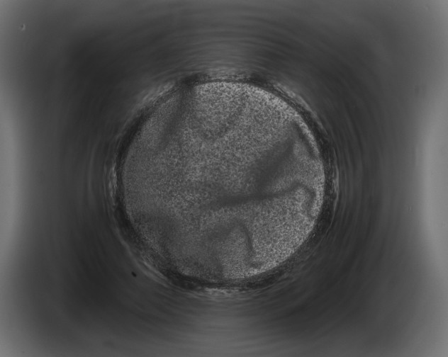 X0000082940690200703020128