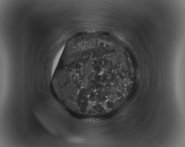 X0000082940691200703020128