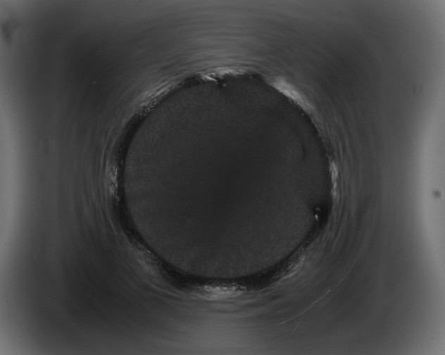 X0000082940693200703020127