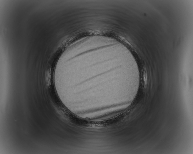 X0000082940694200703020127