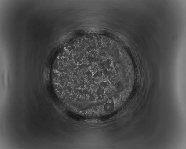 X0000082940695200703020127