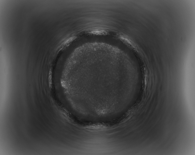 X0000082940696200703020127