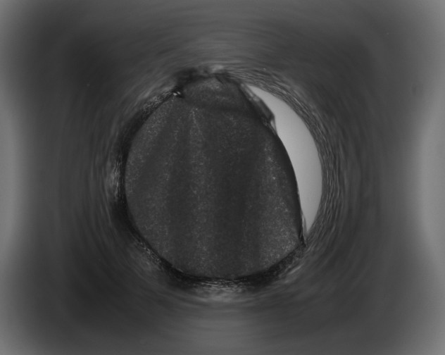 X0000082940697200703020127