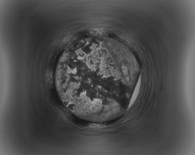 X0000082940699200703020127