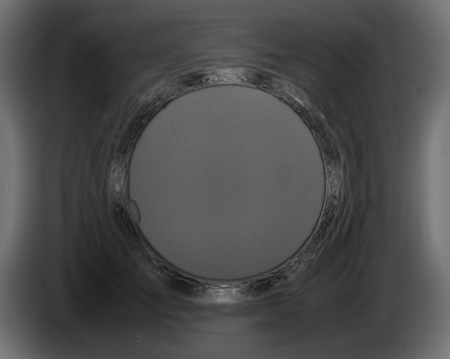 X0000082940701200703020127