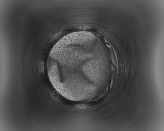 X0000082940704200703020127