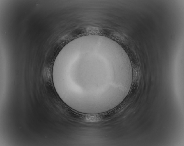 X0000082940705200703020127