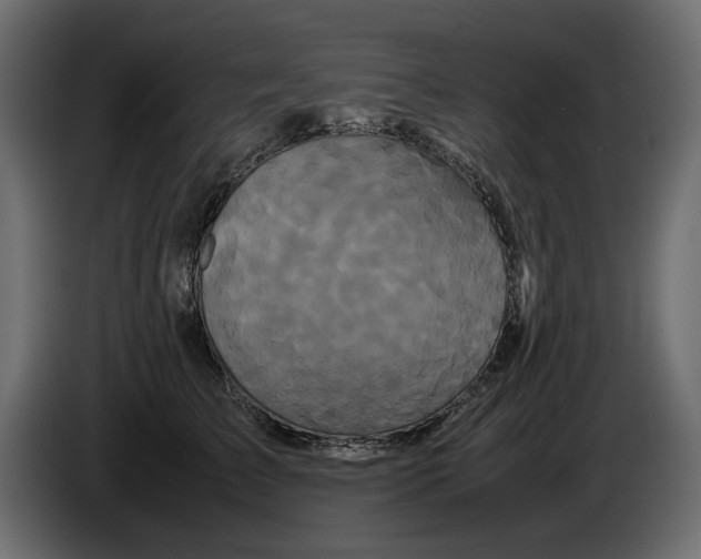 X0000082940709200703020127