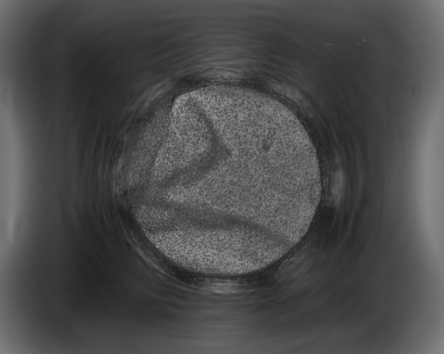 X0000082940710200703020127