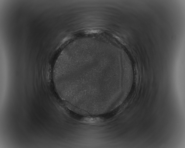 X0000082940712200703020127