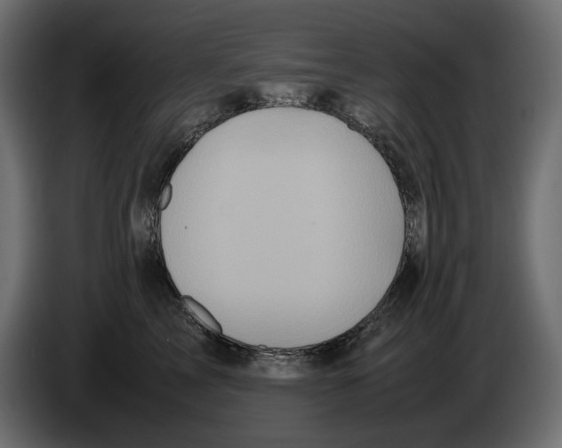 X0000082940713200703020127