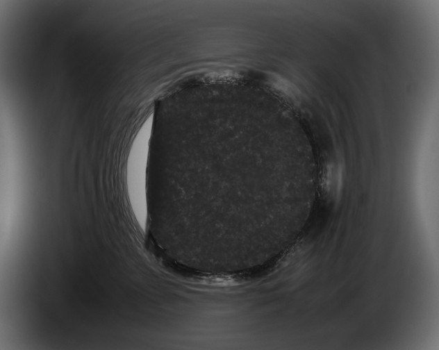 X0000082940715200703020127