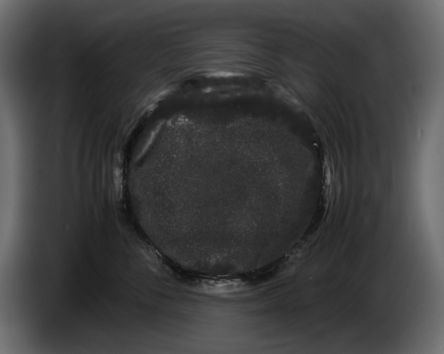 X0000082940716200703020127