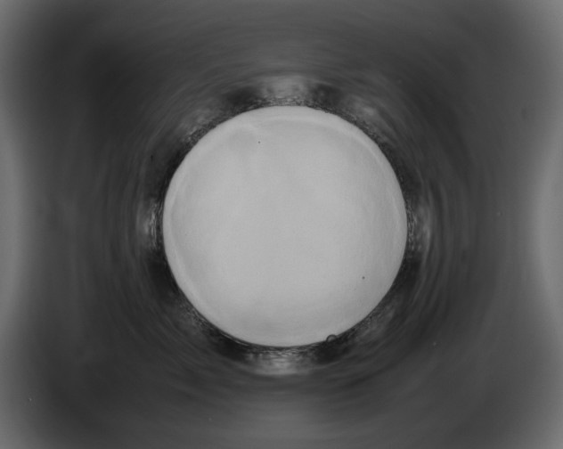 X0000082940717200703020127